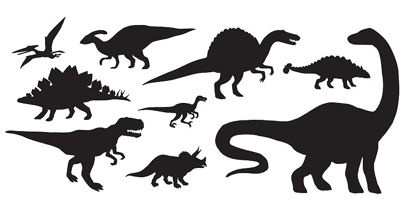 矢量,黑色,恐龙,食草动物,过去,一个物体,背景分离,剪影,捆,布置