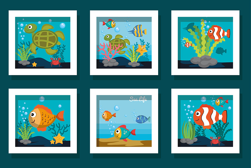 可爱的,海洋生命,计算机图标,海星,海龟,动物,绘画插图,卡通,水下,鱼类