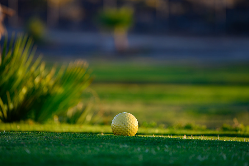 草,特内里费岛,高尔夫球运动,西班牙,巨大的,金丝雀,泡沫材料,完美,知识