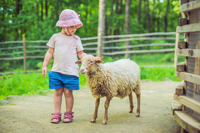 羊羔,女孩,农场,复活节,女婴,公园,小的,动物,拿着,爱