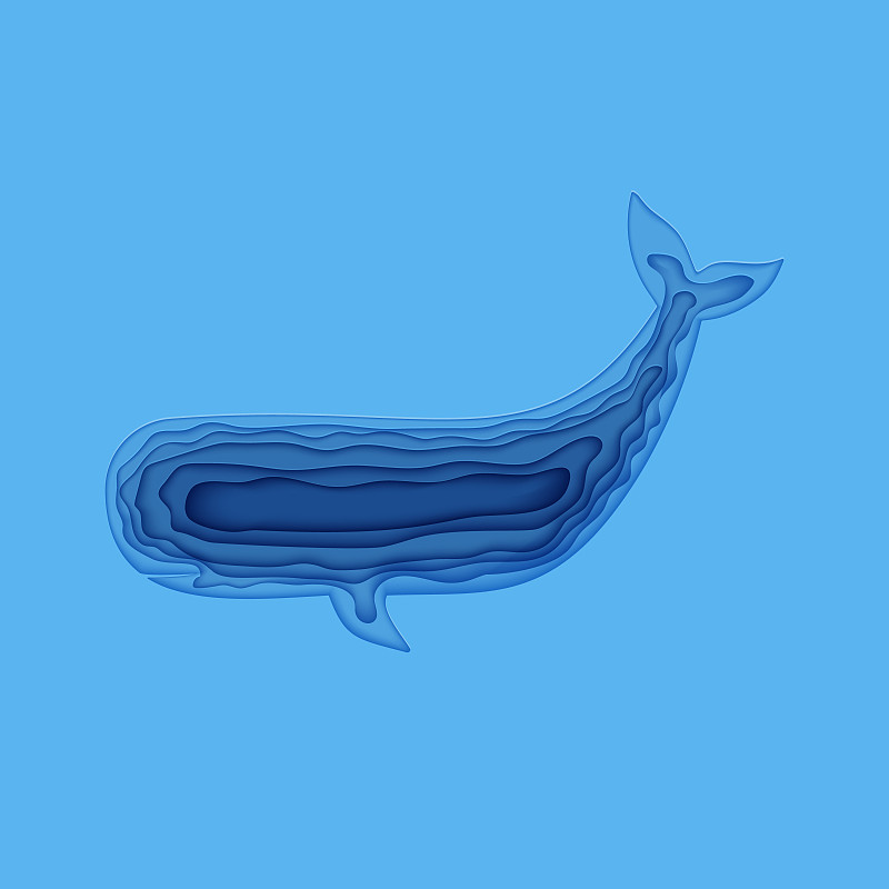 背景分离,三维图形,水下,白昼,概念,矢量,海豚,纸,海洋,蓝色