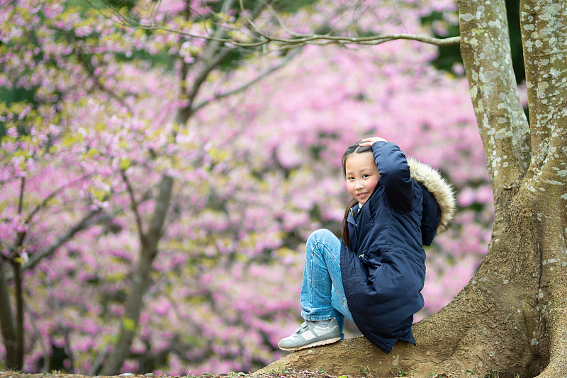 可爱的,樱桃树,女孩,野餐,肖像,一个人,公园,自然美,春天,6岁到7岁