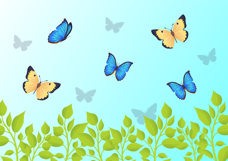 草,天空,蝴蝶,绿色,在上面,两翼昆虫,蓝色,生物学,清新,野生动物