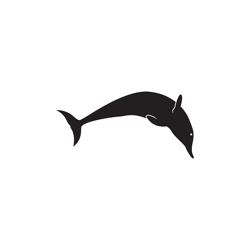 海豚,矢量,图表设计师,模板,分离着色,商务,运动,哺乳纲,现代,动物