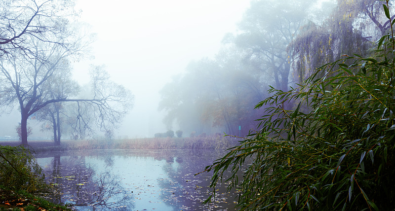 雾,秋天,早晨,湖,地形