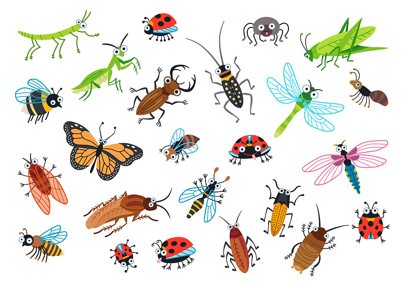 甲虫,绘画插图,卡通,矢量,巨大的,可爱的,背景分离,野生动物,大黄蜂,天牛