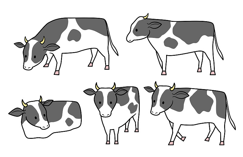 绘画插图,成一排,母牛,简单,农业,可爱的,传统,新年前夕,十二生肖,哺乳纲