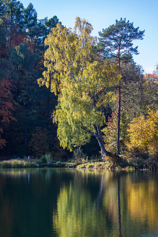 维尔纽斯,立陶宛共和国,秋天,叶子,翠湖