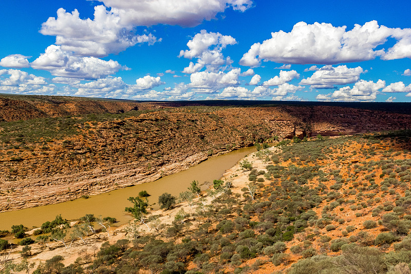 风景,西澳大利亚,沙岩,植物群,卡尔巴里自然保护区,非凡的,沟壑