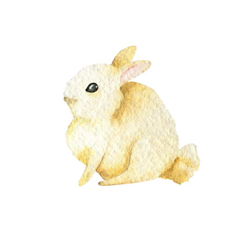 手,绘画插图,兔子,分离着色,水彩画,复活节兔子,白色背景,绘制