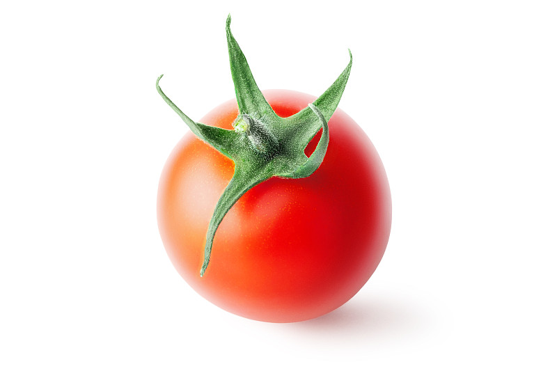 西红柿,白色背景,分离着色