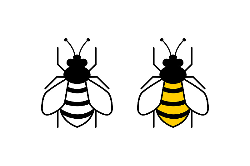 蜜蜂,计算机图标,现代,绘画插图,扁平化设计,矢量,蜘蛛网,分离着色
