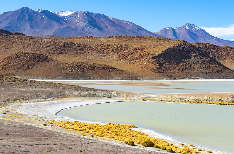 玻利维亚,泻湖,安地斯山脉,旅途,野生动物,壁纸,火烈鸟,乌尤尼盐沼,自然美,湖