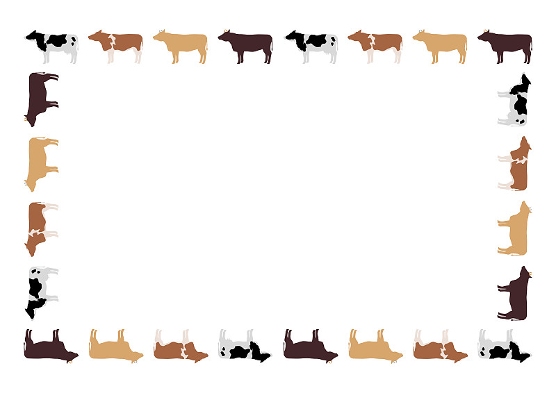 绘画插图,牛,矢量,边框,背景,式样,母牛,公牛,野牛