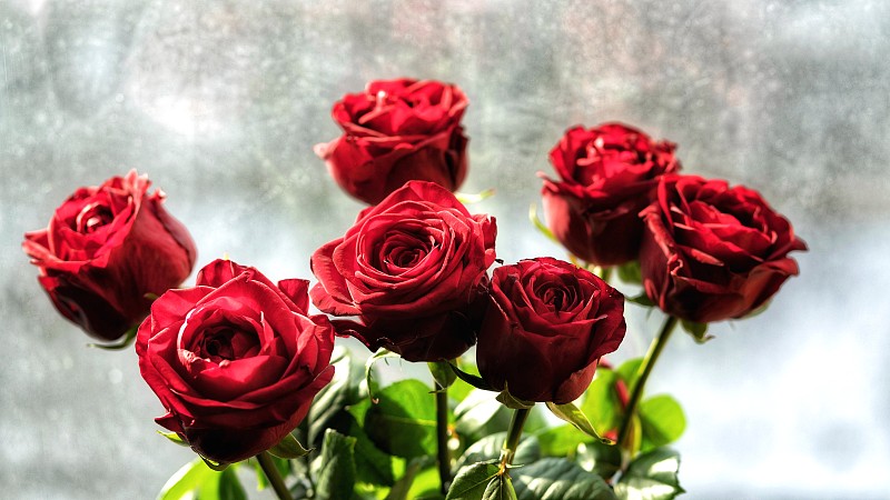 花束,红色,玫瑰,纹理效果,请柬,事件,贺卡,数字7,暗色