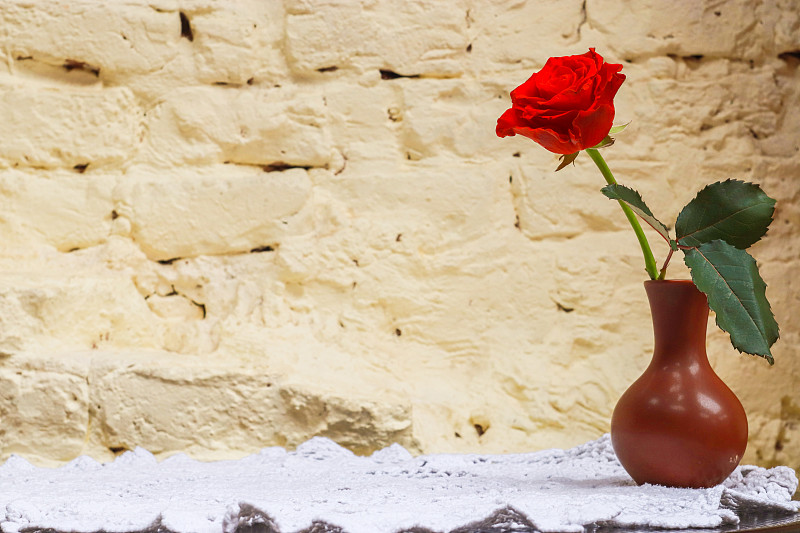 花瓶,砖墙,玫瑰,白色,红色,背景,桌子,砖,浪漫,爱