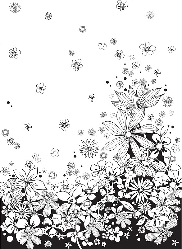 黑白图片,花朵,绘画插图,花纹,侧面视角,华丽的,边框,浪漫,简单,模板
