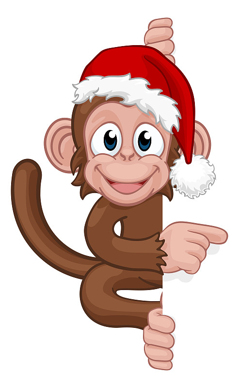 圣诞帽,圣诞节,猴子,动画片,可爱的,动物主题,背景分离,指着