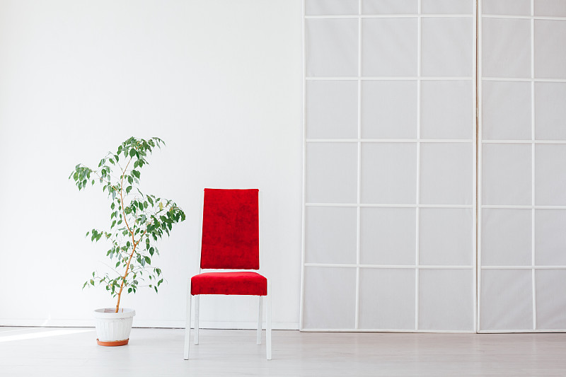 室内,白色,红色,椅子,植物,无人,住宅房间,住宅内部,华贵,舒服