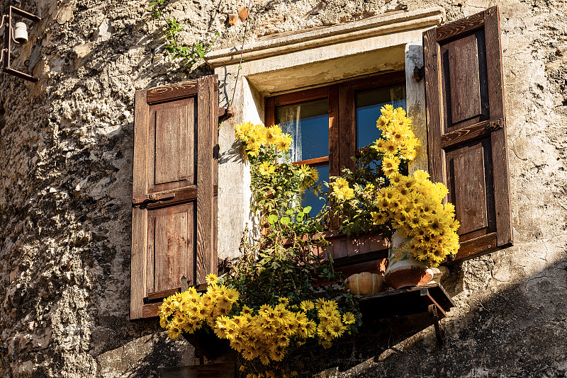 黄色,木制,意大利,百叶窗,窗户,黛安娜公主,部分,花盆,复古风格,花