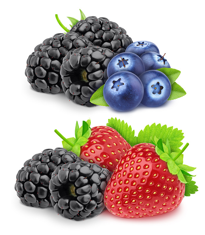 蓝莓,浆果,黑刺莓,草莓,白色背景,分离着色,一对,森林,暗色,背景分离