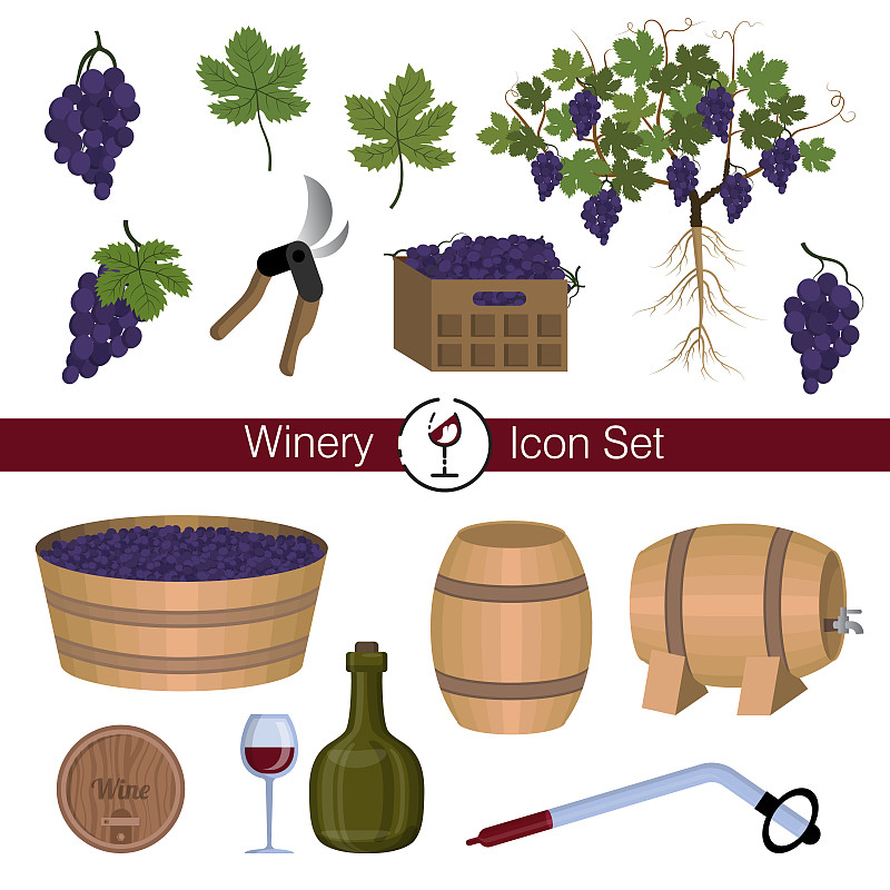 葡萄酒酿造,葡萄酒厂,设备用品,根部,有蔓植物,浆果,叶子,葡萄酒,农业