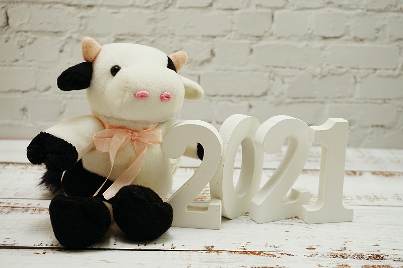 2021,砖墙,乐趣,木制,新年前夕,母牛,白色,娃娃,背景聚焦,复制