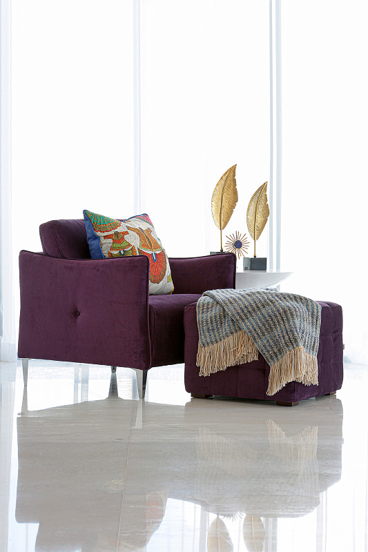 长软椅,紫色,装饰物,扶手椅,住宅房间,个人随身用品,桌子,华贵,舒服