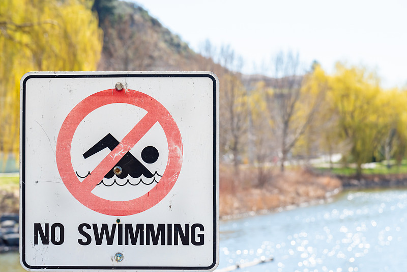 池塘,禁止游泳标志,公园,背景,城市,特写,警告标识,城市生活,警告标志,沟通