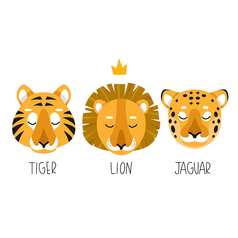 可爱的,虎,绘画插图,狮子,白色背景,美洲虎,猴子,斑马,布置