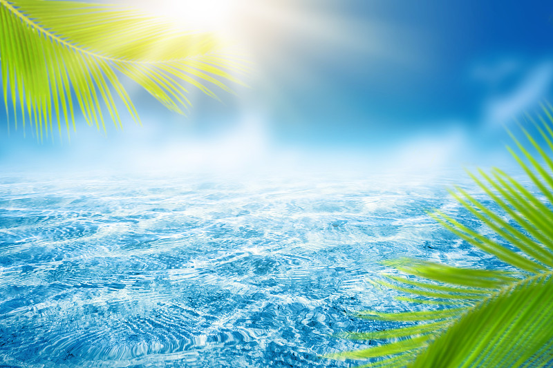 绿色,海滩,波浪,背景,日光,自然,抽象,背景虚化,鸡尾酒,棕榈叶