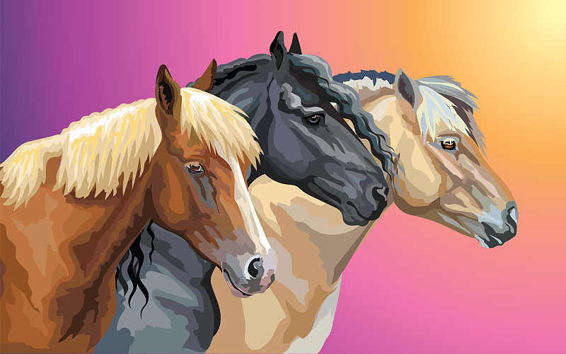 马,数字9,动物主题,背景分离,红棕色马,肖像,黑白花的马,复古风格,哺乳纲,布置