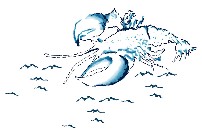 绘画插图,小龙虾,水彩画,龙虾捕捞,水彩画颜料,清新,海洋生命,螯虾,航海风格