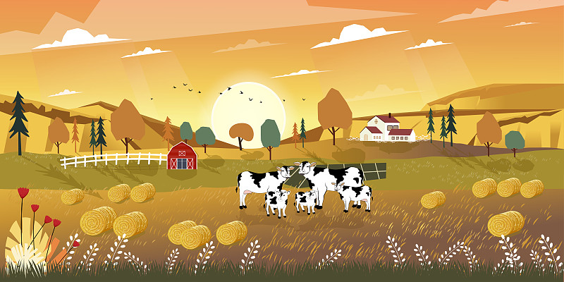 风景,季节,田地,全景,农场,母牛,叶子,谷仓,卡通,收获