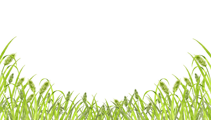 草,田地,绿色,可爱的,华丽的,水彩画颜料,清新,边框,环境,草类