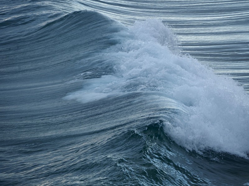 波浪,海浪,深的,湿,清新,风,环境,天气,破坏,行动