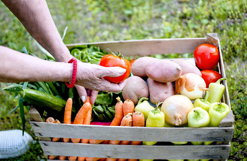 老年女人,菜园,蔬菜,板条箱,部分,熟的,手,堆,拿着,农场