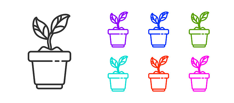 计算机图标,多色的,盆栽植物,矢量,植物,锅,绘画插图,分离着色,生长
