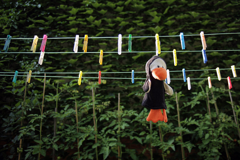 晒衣绳,娃娃,悬挂的,玩具,简单,想法,童年,植物,户外,线绳