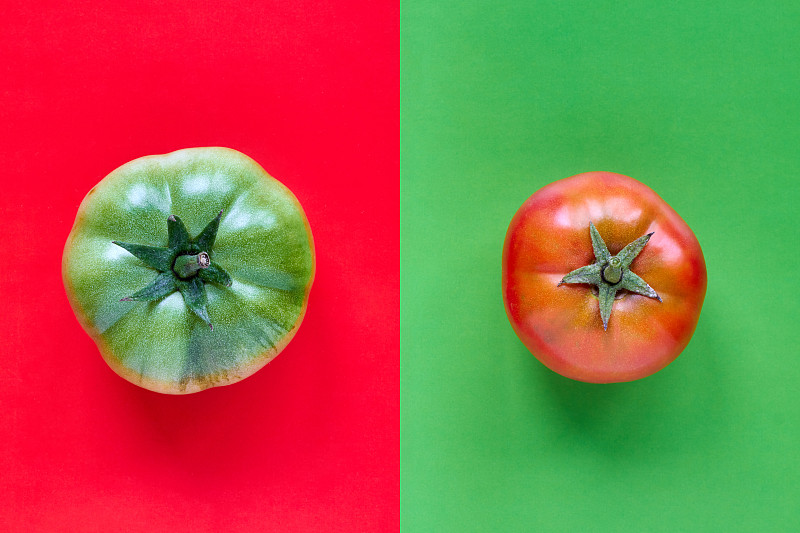 式样,西红柿,特写,自然,红色,绿色,色彩鲜艳,风景,绿色背景,顶部