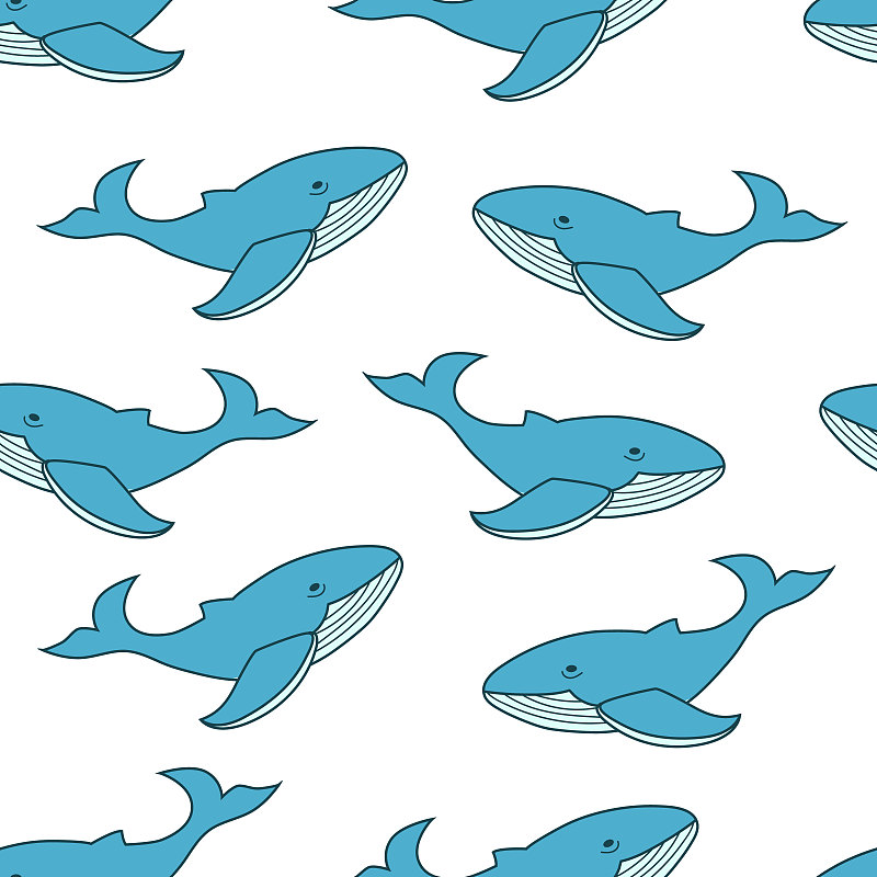 蓝鲸,鲸,背景,海洋,四方连续纹样,式样,动物,海洋生命,野生动物,哺乳纲
