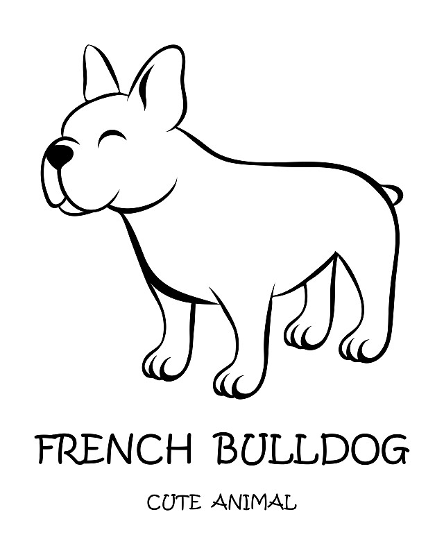 卡通,法国斗牛犬,可爱的,黑色,矢量,绘画插图,白色背景,线条,插图画家,纯种犬