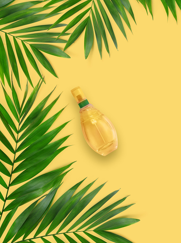 瓶子,背景,棕榈叶,平铺,黄色,香水瓶,创造力,鸡尾酒,风景,纸