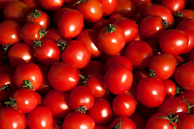 西红柿,红色,公亩,背景,露天咖啡馆,蔬菜摊,农业,蔬菜,清新,菜园