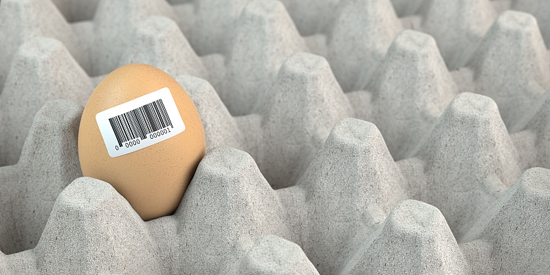 鸡蛋,条形码,概念,标签,鸡肉,商务,食品,技术,鸡蛋盒,市场营销