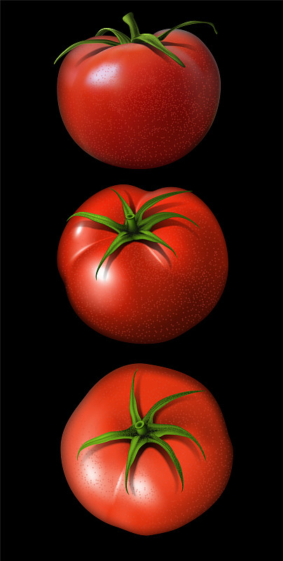 西红柿,绘画插图,角度,与众不同,黑色背景,高处,三个物体,农业,蔬菜,清新