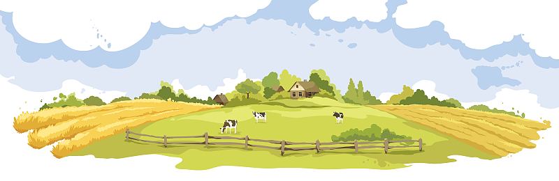母牛,乡村,抽象,地形,农业,奶制品,狭窄的,水彩画颜料,菜园,牛奶