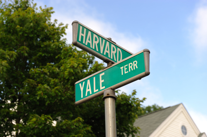 耶鲁大学,哈佛,哈佛大学,常春藤盟校,天空,水平画幅,无人,标志,摄影,树
