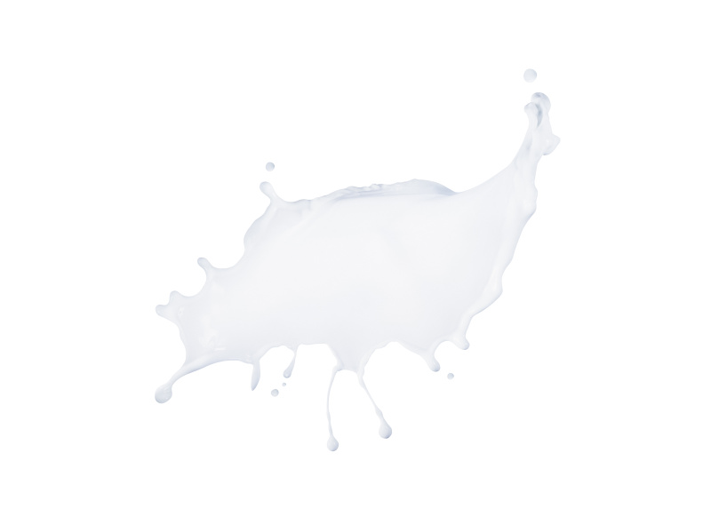 牛奶,白色背景,分离着色,无人,水滴,液体,溅,喷溅,流动,喷