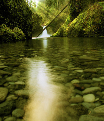 Punchbowl Falls